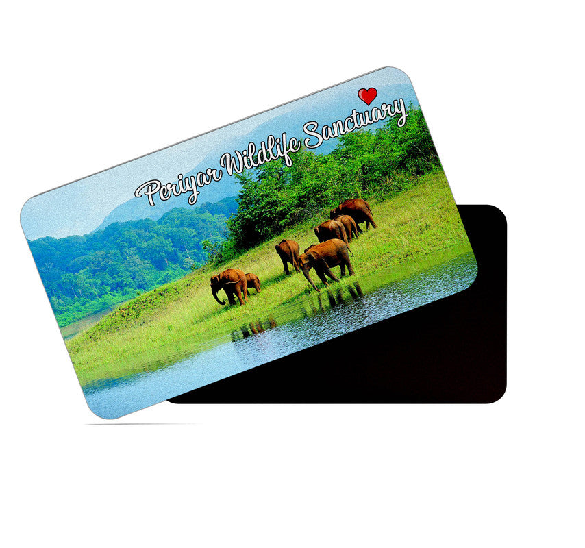 dhcrafts Rectangular Rubber Fridge Magnet / Magnetic Card Multicolor Periyar Wildlife Sanctuary Kerala Design Pack of 1 (8.6cm x 5.4cm)